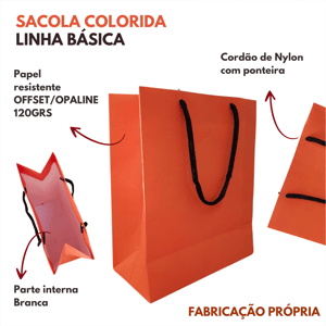 25 Sacola Papel Colorida Básica 18,5x22x9cm