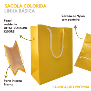 25 Sacola Papel Colorida Básica 18,5x22x9cm