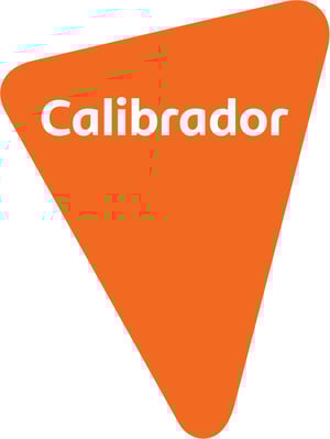 Adesivo Calibrador Vinil 0.10mm 45cmx60cm 4x0 Laminação Fosca Corte Reto 