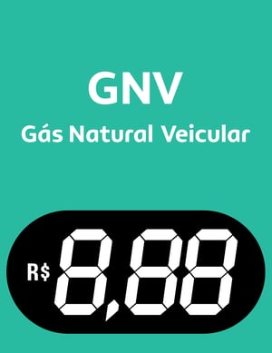 BA GNV Vinil 0.10mm Aplicado em Poliondas 3mm 100x130cm 4x0  Corte Reto 