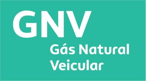 Adesivo Spainer GNV  43x24cm    