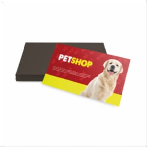 Imã de Geladeira comum 9x5