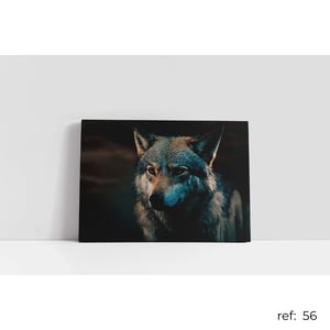 Quadro de Animais