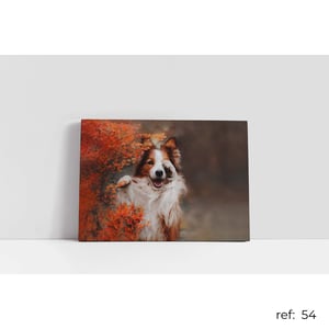 Quadro de Animais
