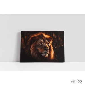 Quadro de Animais