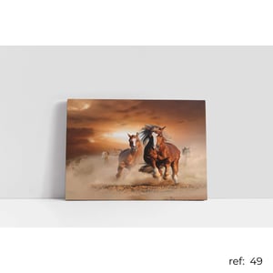 Quadro de Animais
