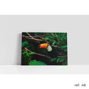 Quadro de Animais