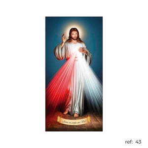Jesus - Capa de Painel Lateral Veste Fácil 100x200