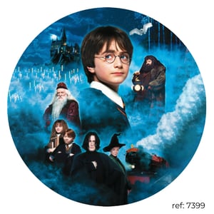 Harry Potter - Capa de Painel Redondo