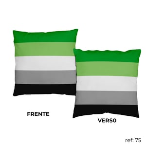 LGBTQIAPN+ - Almofada