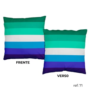 LGBTQIAPN+ - Almofada