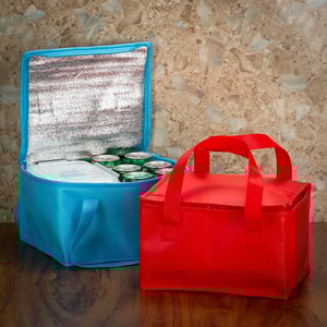 Bolsa Térmica 13 Litros Personalizada 1 Cor — 18523