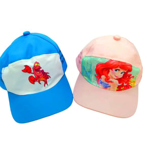 Boné Japonês Personalizado Pintado com Tinta Silk Plástica Frente e Laterais - Promocional — CBBON30