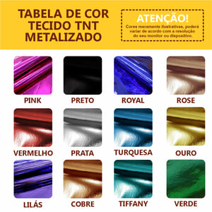Bolsa Ecobag TNT Metalizada com TNT não Metalizado Personalizado — CBECO18