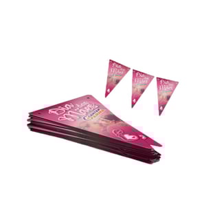 Bandeirola Grande em Couchê 250g - Decoração Perfeita para Eventos - 02042504 Papel Couchê 250g Bandeirola Grande em Couchê 250g Impressão colorida 2 lados  tamanho: 20,7x34cm ideal para festas, eventos e comemorações.