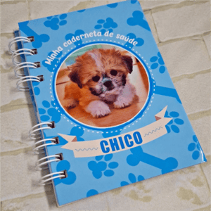 Caderneta de Vacina PET (capa dura) Capa dura + Adesivo 10x15cm    Espiral de aço