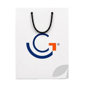 Sacola de Papel Personalizada