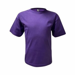 Camiseta Infantil Algodão Roxo Personalizada Algodão Camiseta Infantil   tradicional Infantil