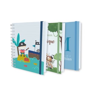 Caderneta de Saúde (Masculino)