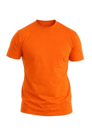 CAMISETA DE ALGODÃO PERSONALIZADA EM DTF