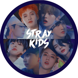 CAPA PAINEL REDONDO KPOP STRAY KIDS | TECIDO PREMIUM  | VÁRIOS MODELOS - 1.50X1.50M E 50X50CM