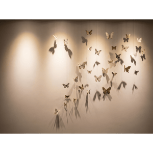 CAPA FUNDO FOTOGRÁFICO HORIZONTAL BORBOLETA| TECIDO PREMIUM  | VÁRIOS MODELOS - 2.20X1.50M