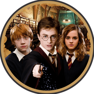 CAPA PAINEL REDONDO HARRY POTTER | TECIDO PREMIUM  | VÁRIOS MODELOS - 1.50X1.50M E 50X50CM