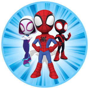 CAPA PAINEL REDONDO HERÓI HOMEM-ARANHA | TECIDO PREMIUM  | VÁRIOS MODELOS - 1.50X1.50M E 50X50CM