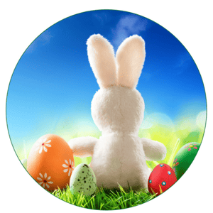 CAPA PAINEL REDONDO PÁSCOA COELHO | TECIDO PREMIUM  | VÁRIOS MODELOS - 1.50X1.50M E 50X50CM