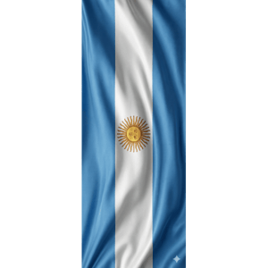 CAPA PAINEL PORTA COPA DO MUNDO| TECIDO PREMIUM  | VÁRIOS MODELOS - 85cm x 2.10M