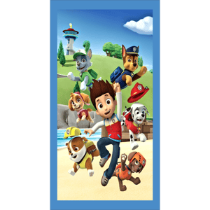 CAPA FUNDO ROMANO PATRULHA CANINA | TECIDO PREMIUM  | VÁRIOS MODELOS. - 1X2M