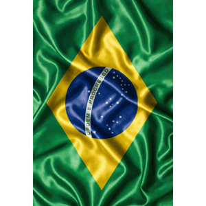 CAPA FUNDO FOTOGRÁFICO VERTICAL COPA DO MUNDO | TECIDO PREMIUM  | VÁRIOS MODELOS - 1.50X2.20CM