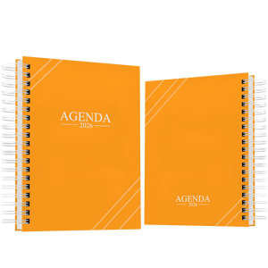 Agenda Diária - 2026 Personalizada