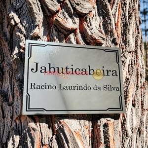 Placa Rowmark (Área Externa)
