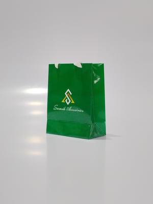 BOLSA DE PAPEL 15x19x7,5