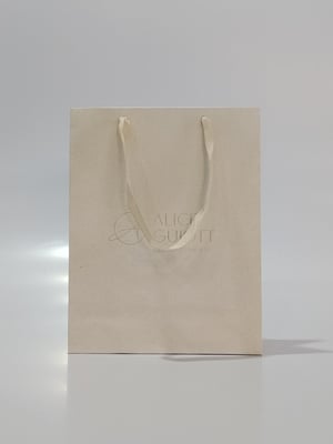 BOLSA DE PAPEL 23x29x11