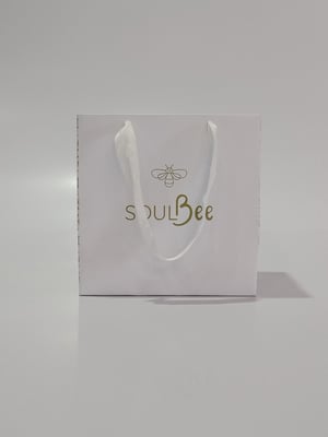 BOLSA DE PAPEL 21x21x15