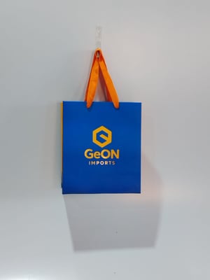 BOLSA DE PAPEL 20x23x9