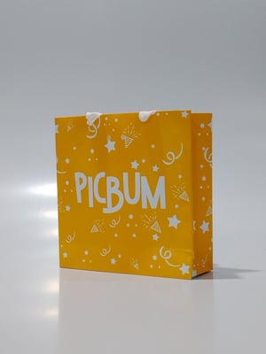 BOLSA DE PAPEL 23X24X8