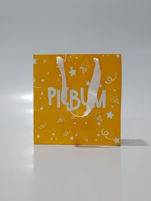 BOLSA DE PAPEL 23X24X8