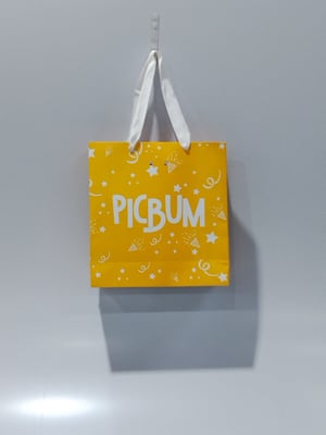 BOLSA DE PAPEL 23X24X8