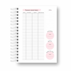 Caderneta Fluxo de Caixa Caderno Controle Financeiro Livro Caixa personalizado