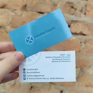 Cartão de Visitas Comum