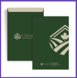 Envelope - Sulfite A4 Papel Apergaminho - 90gr 25,0 larg. x 35,0 alt.    