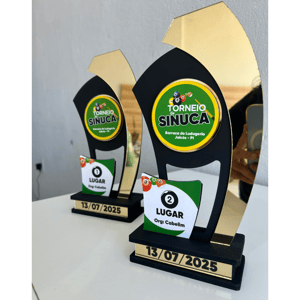 TROFÉU MDF 6MM COM ACRÍLICO 20CM      