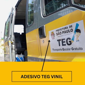 ADESIVO VINIL TEG  Padrão DTP 1x0  Recorte Eletrônico 