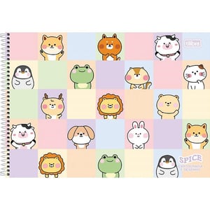 CAD. CARTOG CP DURA - SPICE  80FL  275 X 200mm    