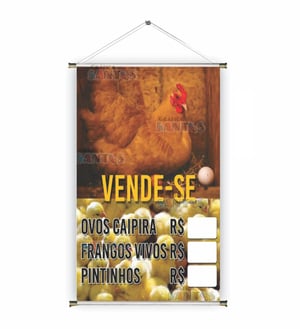 Banner prontos modelos variados tema: Vende-se ovos