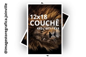 Impressão Couchê 12x18 (A3+) Couche Semi-Brilho 31,0mm x 45,0mm 4X0 /4X4  Impressão Laser Color 1200 DPI 