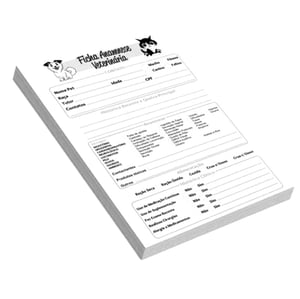 Fichas 15x20cm Couchê Alvura 240g 15x20cm 1x0 Sem verniz Corte Reto 